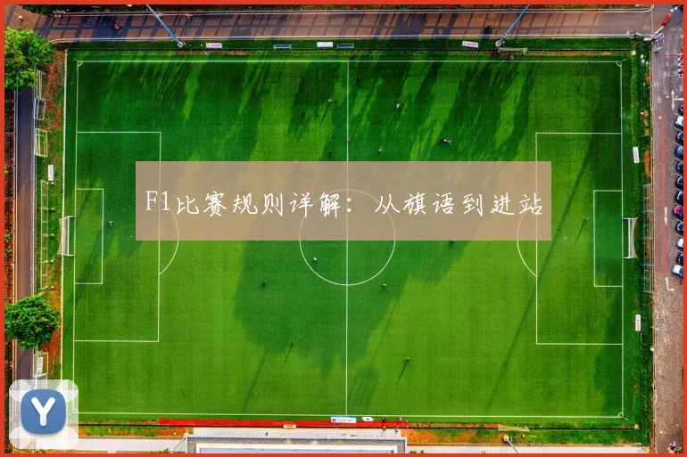 F1比赛规则详解:从旗语到进站