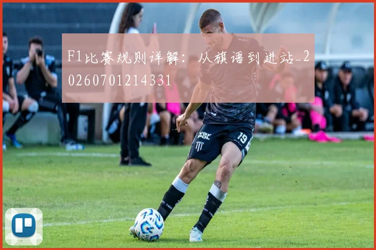F1比赛规则详解:从旗语到进站_20260701214331