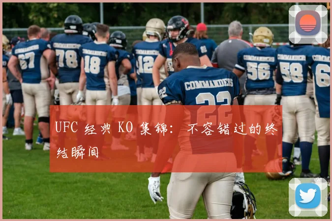 UFC 经典 KO 集锦：不容错过的终结瞬间