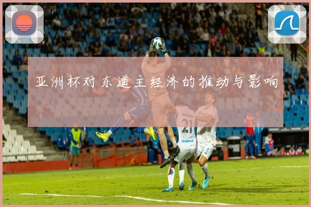 亚洲杯对东道主经济的推动与影响