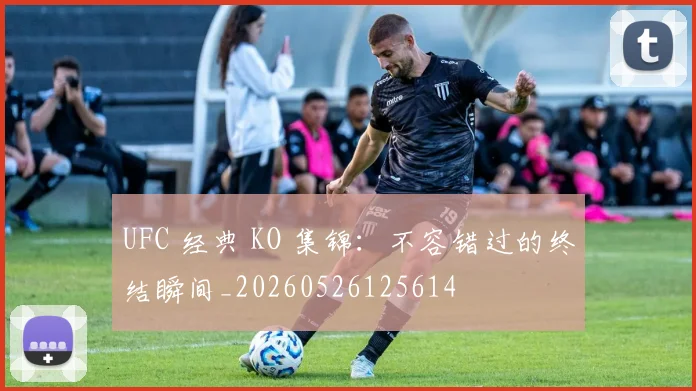 UFC 经典 KO 集锦：不容错过的终结瞬间_20260526125614